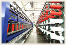 Siam Brothers industry